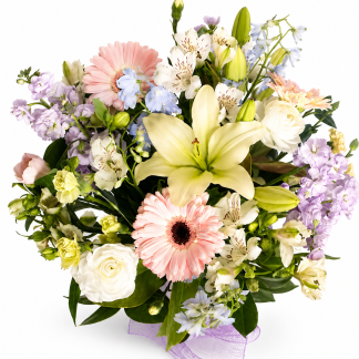 Pastel Delight - water filled box