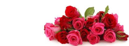 Valentines Day Flowers order online
